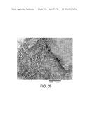 PROCESSING BIOMASS AND PETROLEUM CONTAINING MATERIALS diagram and image