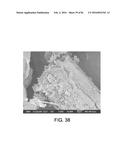 PROCESSING BIOMASS AND PETROLEUM CONTAINING MATERIALS diagram and image