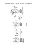 NOVEL METHOD AND DEVICE FOR WHOLE-CELL BACTERIAL BIO-CAPACITOR CHIP FOR     DETECTING CELLULAR STRESS INDUCED BY TOXIC CHEMICALS diagram and image