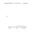 METHOD FOR MEASURING INDOXYL SULFURIC ACID diagram and image