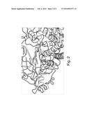 MODIFIED POLYMERASES FOR IMPROVED INCORPORATION OF NUCLEOTIDE ANALOGUES diagram and image