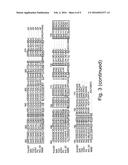 MODIFIED POLYMERASES FOR IMPROVED INCORPORATION OF NUCLEOTIDE ANALOGUES diagram and image