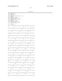 MODIFIED POLYMERASES FOR IMPROVED INCORPORATION OF NUCLEOTIDE ANALOGUES diagram and image