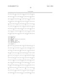 MODIFIED POLYMERASES FOR IMPROVED INCORPORATION OF NUCLEOTIDE ANALOGUES diagram and image