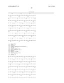 MODIFIED POLYMERASES FOR IMPROVED INCORPORATION OF NUCLEOTIDE ANALOGUES diagram and image