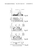 MAST CELL CANCER-ASSOCIATED GERM-LINE RISK MARKERS AND USES THEREOF diagram and image