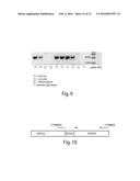 MAST CELL CANCER-ASSOCIATED GERM-LINE RISK MARKERS AND USES THEREOF diagram and image