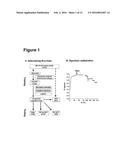 PROGNOSTIC AND PREDICTIVE GENE SIGNATURE FOR NON-SMALL CELL LUNG CANCER     AND ADJUVANT CHEMOTHERAPY diagram and image