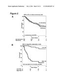 PROGNOSTIC AND PREDICTIVE GENE SIGNATURE FOR NON-SMALL CELL LUNG CANCER     AND ADJUVANT CHEMOTHERAPY diagram and image