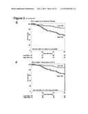 PROGNOSTIC AND PREDICTIVE GENE SIGNATURE FOR NON-SMALL CELL LUNG CANCER     AND ADJUVANT CHEMOTHERAPY diagram and image