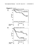 PROGNOSTIC AND PREDICTIVE GENE SIGNATURE FOR NON-SMALL CELL LUNG CANCER     AND ADJUVANT CHEMOTHERAPY diagram and image