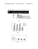 NANOPRODUCT COMPRISING LACTOBACILLUS REUTERI DAN080 USEFUL IN PROPHYLAXIS     AND MEDICINE, BOTH HUMAN AND VETERINARY AND MEDICAL USE OF THE SAME diagram and image