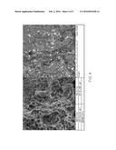 Magnesium-Zinc-Manganese-Tin-Yttrium Alloy and Method for Making the Same diagram and image