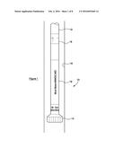 DRILL STRING CHECK VALVE diagram and image