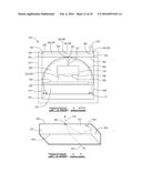 OPTICAL EMISSION COLLECTION AND DETECTION DEVICE AND METHOD diagram and image