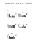 ALPHA-KETO-ISOVALERATE AS A BIOMARKER OF PREBIOTIC EFFICACY FOR WEIGHT     GAIN PREVENTION diagram and image