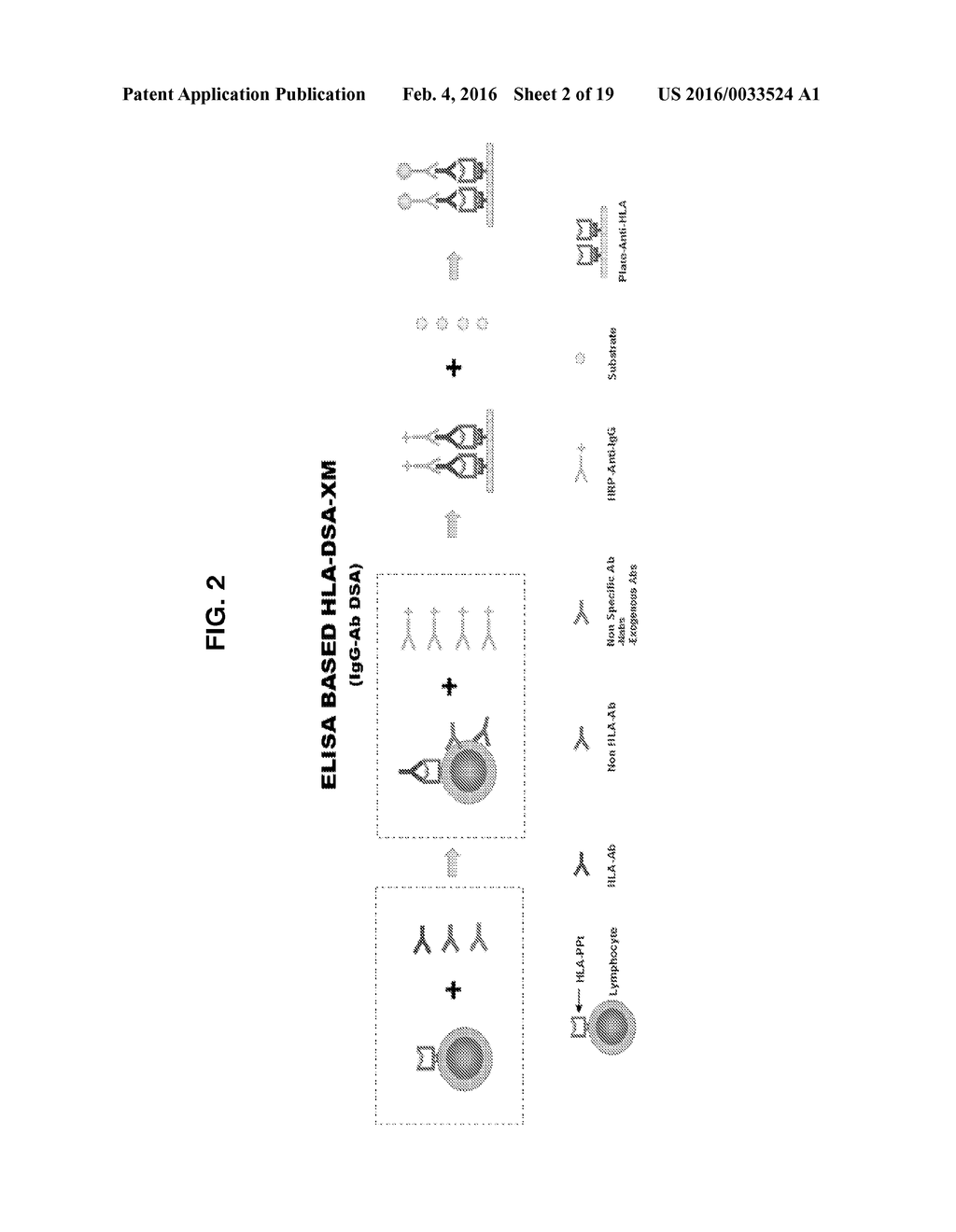 Methods of Detecting Donor-Specific Antibodies and Systems for Practicing     the Same - diagram, schematic, and image 03