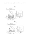 OBSERVATION METHOD USING MICROSCOPIC IMAGING DEVICE diagram and image