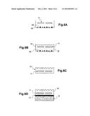 PHOTOVOLTAIC STRUCTURE FOR A ROADWAY diagram and image