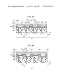 PHOTOELECTRIC CONVERSION APPARATUS AND IMAGE PICKUP SYSTEM diagram and image