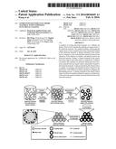 LITHIUM ION BATTERY ELECTRODE MATERIAL WITH COMPOSITE FUNCTIONAL COATING diagram and image