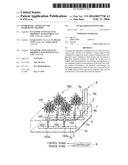 HYDROPONIC APPARATUS AND HYDROPONIC METHOD diagram and image