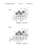 HYDROPONIC APPARATUS AND HYDROPONIC METHOD diagram and image