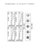 NEUROPHYSIOLOGICAL DATA ANALYSIS USING SPATIOTEMPORAL PARCELLATION diagram and image