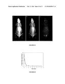 RADIOGRAPHIC CONTRAST AGENTS FOR TEMPORAL SUBTRACTION AND DUAL-ENERGY     X-RAY IMAGING diagram and image