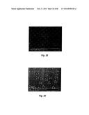 NANOPARTICLE FABRICATION METHODS, SYSTEMS, AND MATERIALS diagram and image