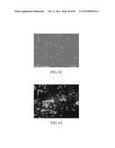 NANOPARTICLE FABRICATION METHODS, SYSTEMS, AND MATERIALS diagram and image