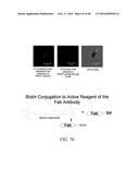 NANOPARTICLE FABRICATION METHODS, SYSTEMS, AND MATERIALS diagram and image