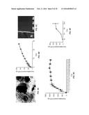 COMPOSITION AND METHODS FOR THE TREATMENT OF PERIPHERAL NERVE INJURY diagram and image