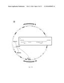 Targeted Therapies for Cancer diagram and image