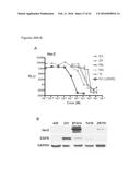 COMBINATION CANCER THERAPY USING BISPHOSPHONATES AND ANTI-EGFR AGENTS diagram and image