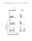 FULLY HUMAN ANTIBODIES TO HIGH MOLECULAR WEIGHT-MELANOMA ASSOCIATED     ANTIGEN AND USES THEREOF diagram and image