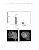 FULLY HUMAN ANTIBODIES TO HIGH MOLECULAR WEIGHT-MELANOMA ASSOCIATED     ANTIGEN AND USES THEREOF diagram and image