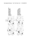 FULLY HUMAN ANTIBODIES TO HIGH MOLECULAR WEIGHT-MELANOMA ASSOCIATED     ANTIGEN AND USES THEREOF diagram and image