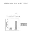 FULLY HUMAN ANTIBODIES TO HIGH MOLECULAR WEIGHT-MELANOMA ASSOCIATED     ANTIGEN AND USES THEREOF diagram and image