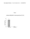 FULLY HUMAN ANTIBODIES TO HIGH MOLECULAR WEIGHT-MELANOMA ASSOCIATED     ANTIGEN AND USES THEREOF diagram and image