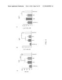 METHOD AND APPARATUS FOR BOOSTING VACCINE EFFICACY diagram and image