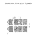 METHOD AND APPARATUS FOR BOOSTING VACCINE EFFICACY diagram and image