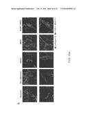 METHOD AND APPARATUS FOR BOOSTING VACCINE EFFICACY diagram and image