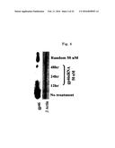 DRUG CARRIER AND DRUG CARRIER KIT FOR INHIBITING FIBROSIS diagram and image