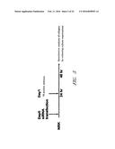 DRUG CARRIER AND DRUG CARRIER KIT FOR INHIBITING FIBROSIS diagram and image