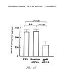 DRUG CARRIER AND DRUG CARRIER KIT FOR INHIBITING FIBROSIS diagram and image