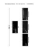 Modified Poly(Beta-Amino Ester)s for Drug Delivery diagram and image