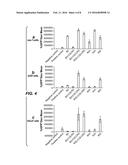 Modified Poly(Beta-Amino Ester)s for Drug Delivery diagram and image