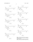 SACCHARIDE CONJUGATES diagram and image