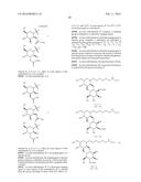 SACCHARIDE CONJUGATES diagram and image